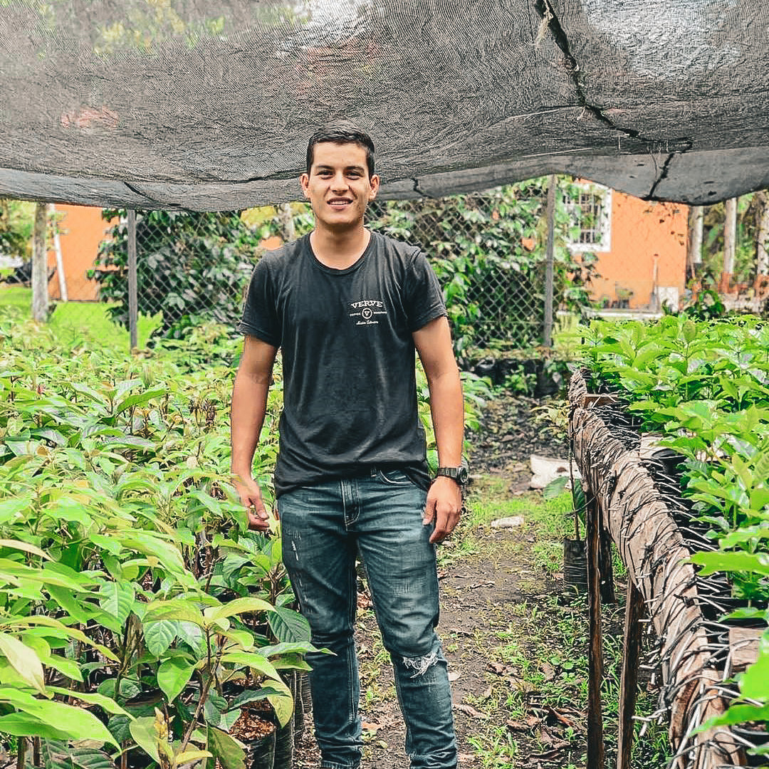 Honduras Denilson Madrid Pacas Anaerobic Washed