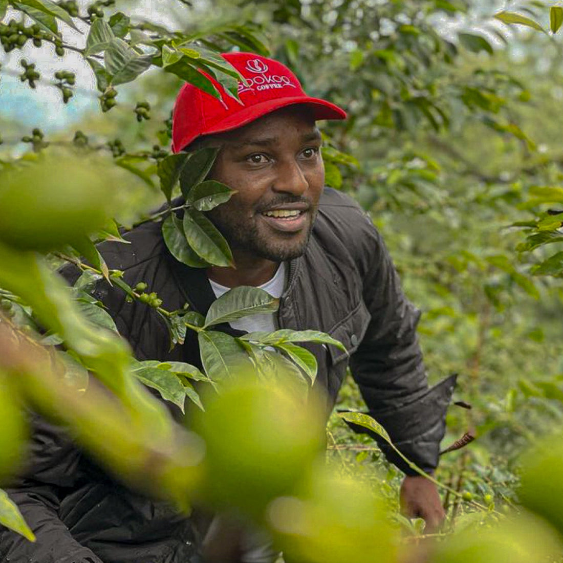 Ethiopia Guji Uraga 74110 Natural