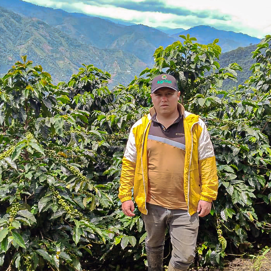 Colombia Carlos Soto Castillo Washed