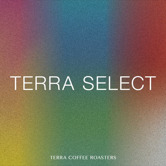 Terra Select (100g×3Bags)