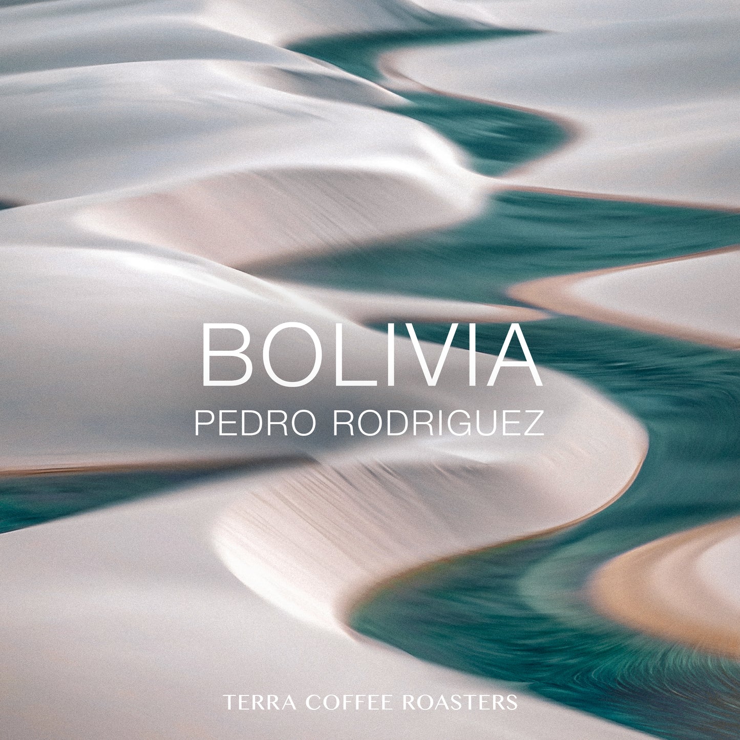 Bolivia Pedro Rodriguez Geisha Washed