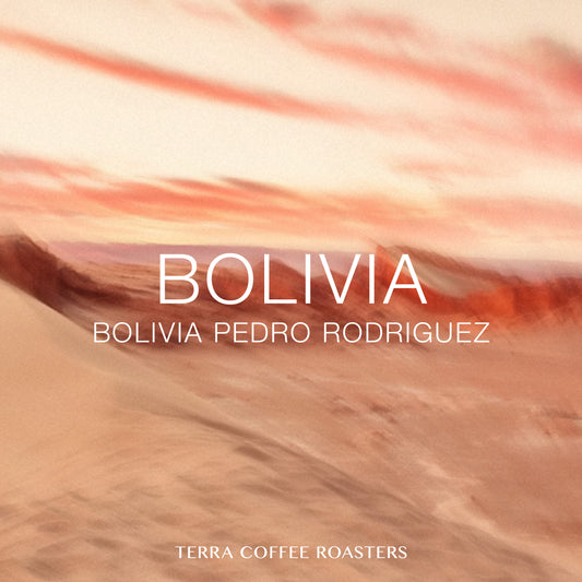 Bolivia Pedro Rodrigues SL28 Natural