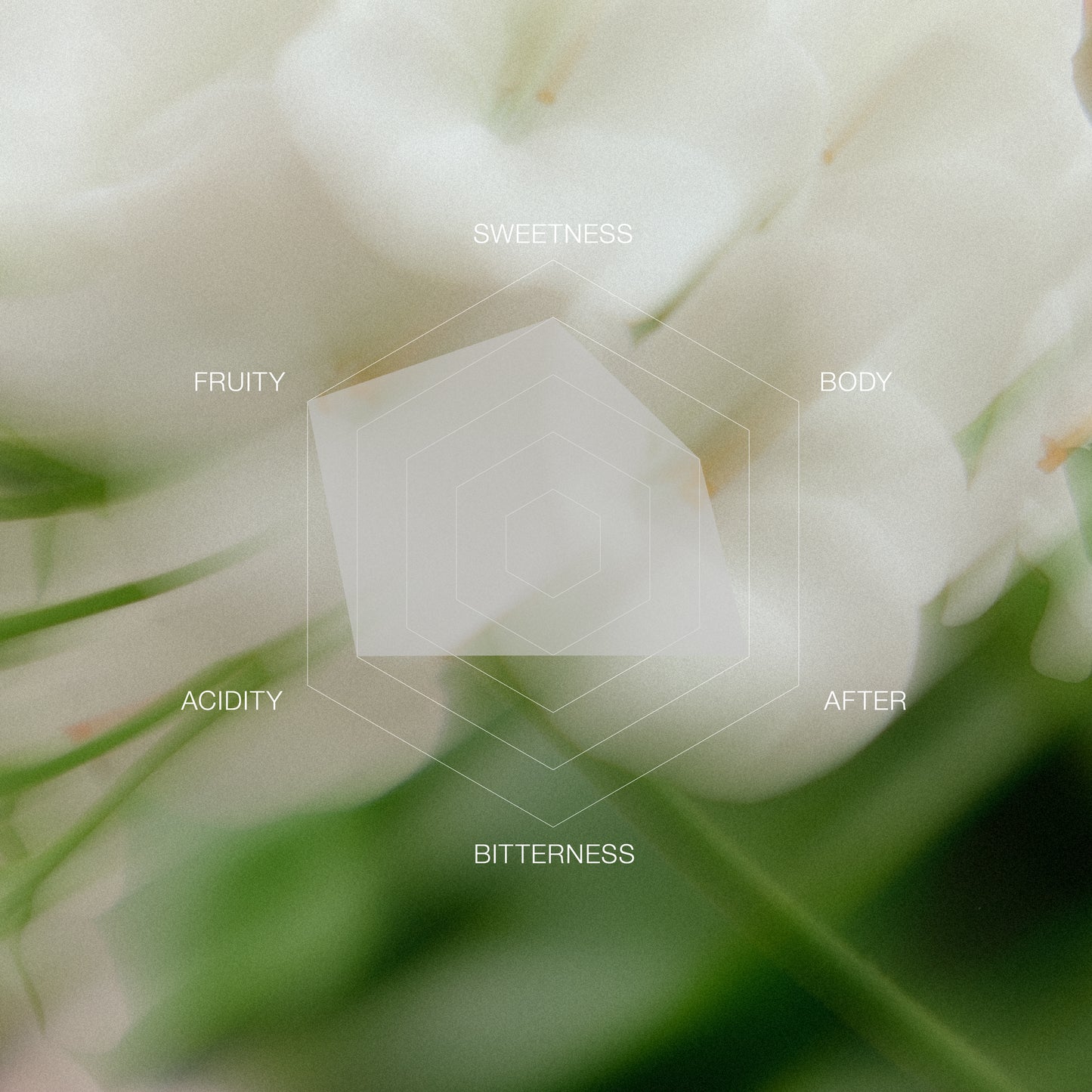 Costa Rica Roger Urena SL28 White Honey