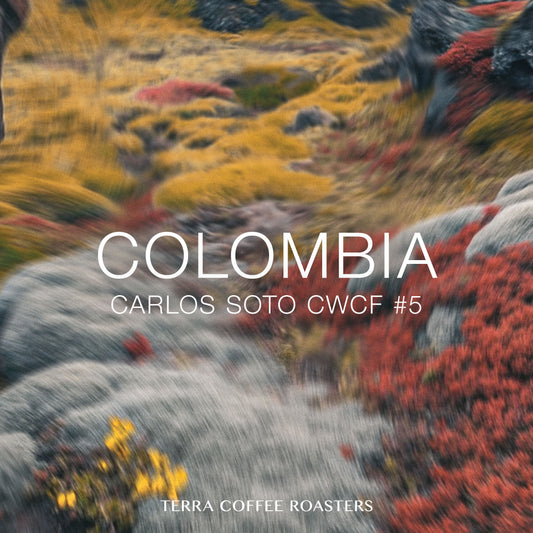 Colombia Carlos Soto Colombia Washed CWCF #5