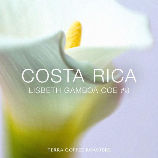 Costa Rica Lisbeth Gamboa Geisha Washed COE#8