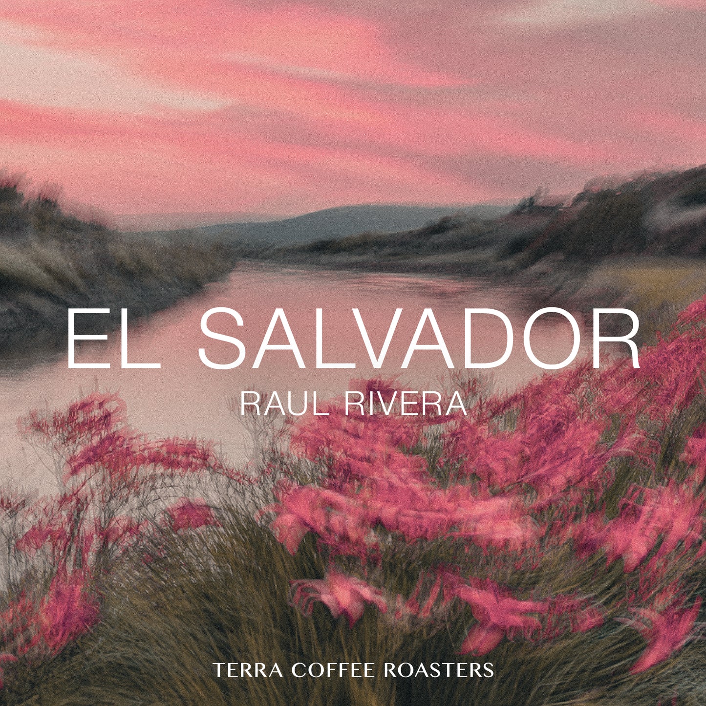 El Salvador Raul Rivera Pacamara Lot P94 Honey