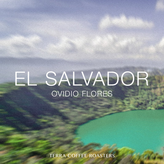 El Salvador Ovidio Flores Pacamara Washed