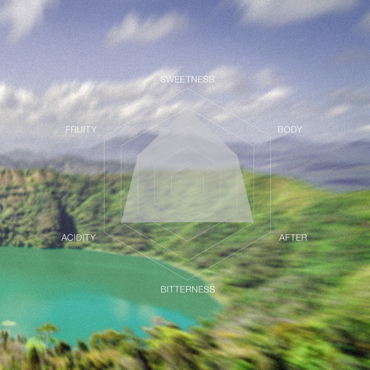 El Salvador Ovidio Flores Pacamara Washed