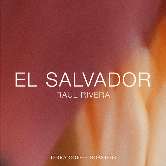 El Salvador Raul Rivera Pacamara Honey