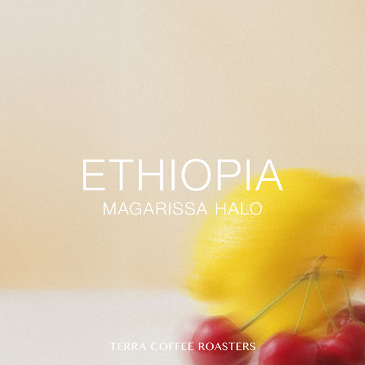 Ethiopia Magarissa Halo Heirloom Washed