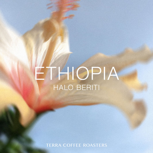Ethiopia Halo Beriti Dega Wolisho Washed