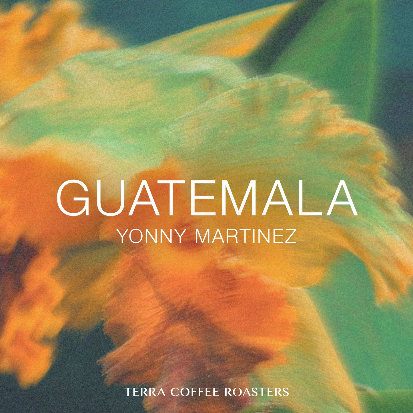 Guatemala Yonny Martinez Typica Washed