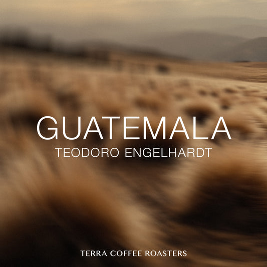 【Daily Roast】Guatemala Teodoro Engelhardt Caturra Washed