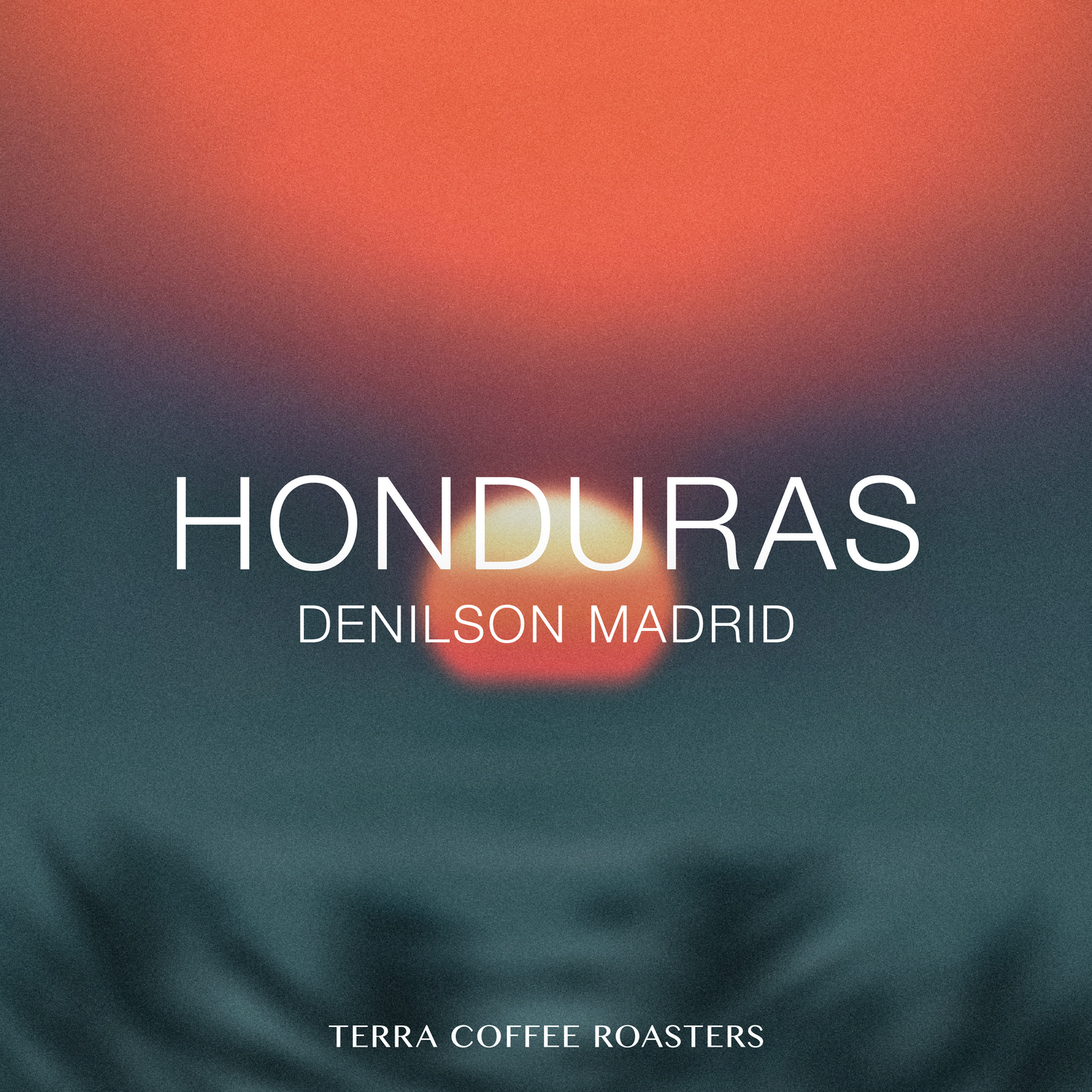 Honduras Denilson Madrid Pacas Anaerobic Washed