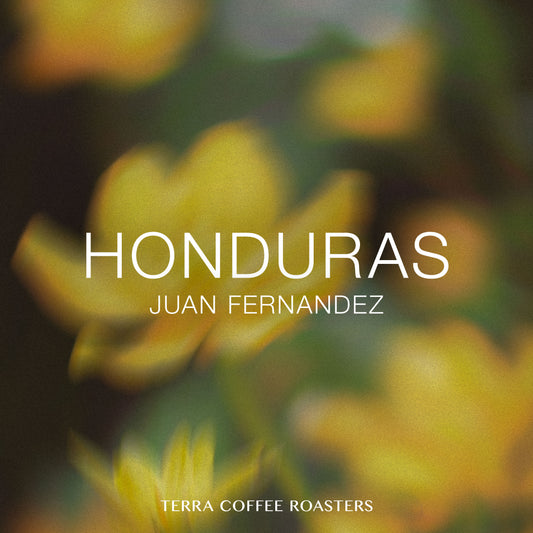 【DAILY ROAST】Honduras Juan Fernandez Parainema Washed Omni