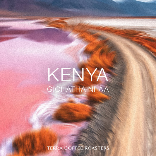 Kenya Gichathaini AA Washed