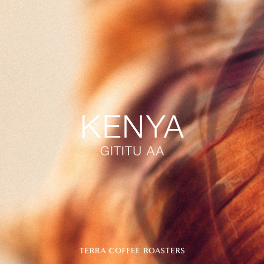 Kenya Gititu AA Field Blend Washed