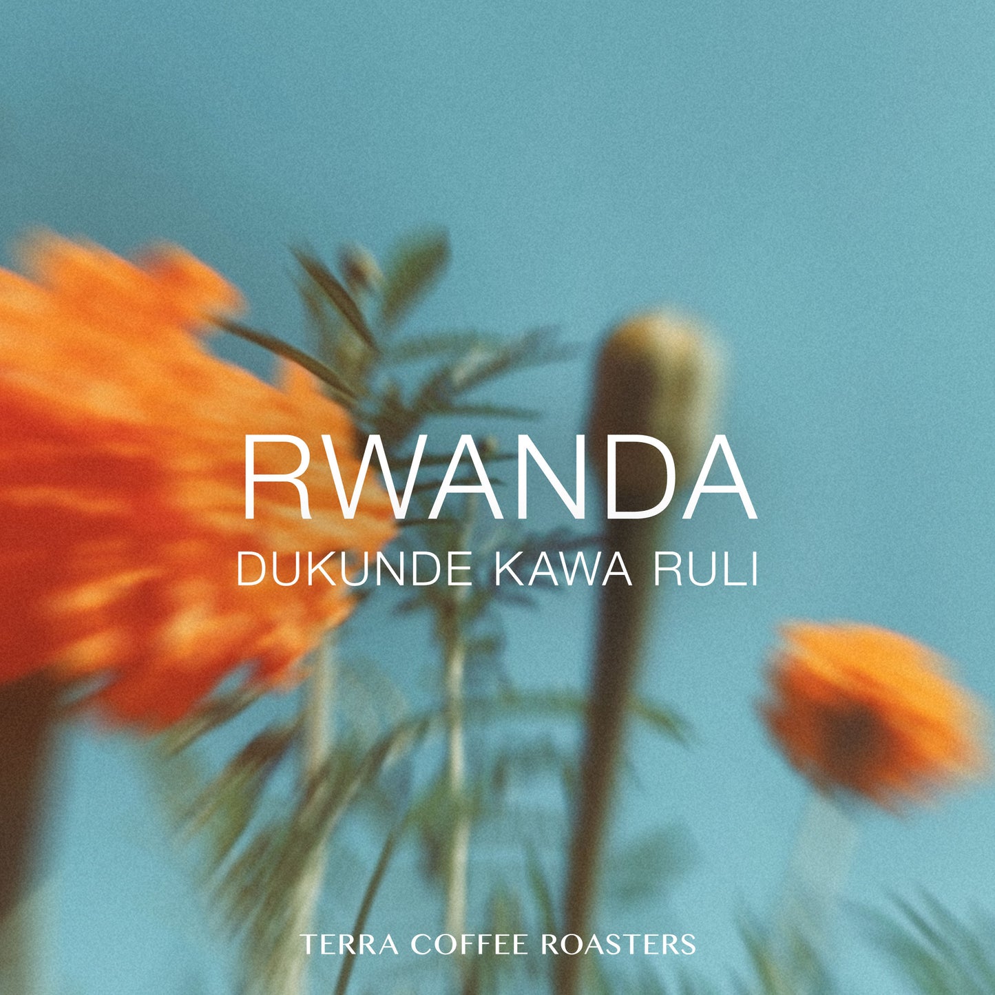 RWANDA Dukunde Kawa Ruli Honey