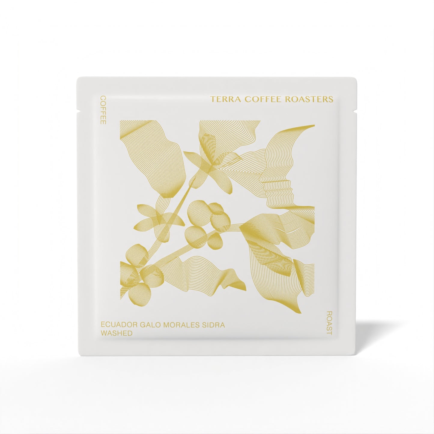 Ecuador Galo Morales Sidra Washed Drip Bag