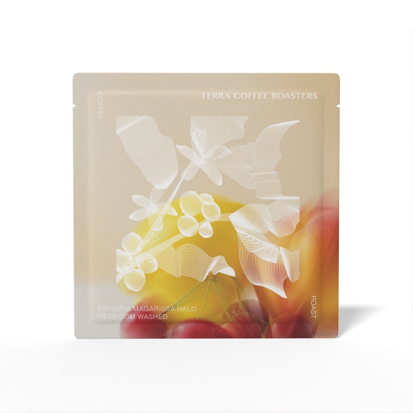 Ethiopia Magarissa Halo Heirloom Washed Drip Bag