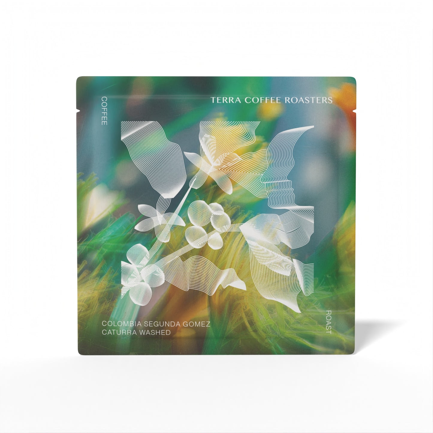 Colombia Segunda Gomez Caturra Washed Drip Bag