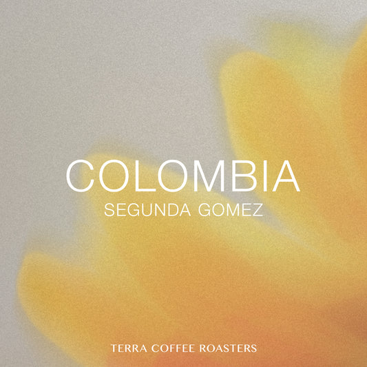 【Daily Roast】Colombia Segunda Gomez Caturra Washed
