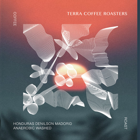 Honduras Denilson Madrid Anaerobic Washed Drip Bag