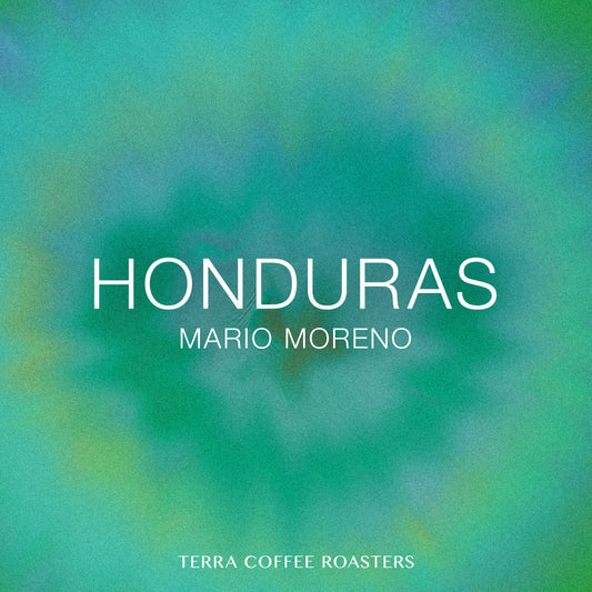 Honduras Mario Moreno Pacas Washed