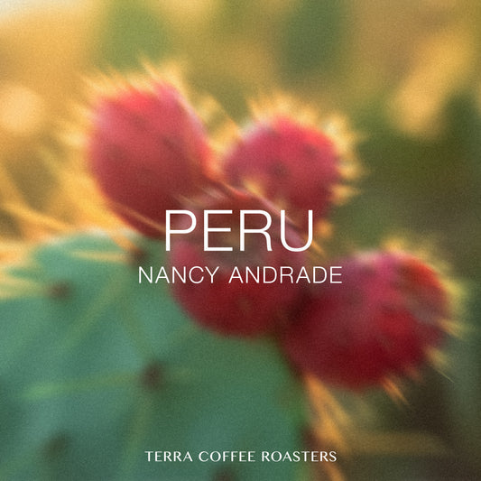 Peru Nancy Andrade Geisha Washed National Winner