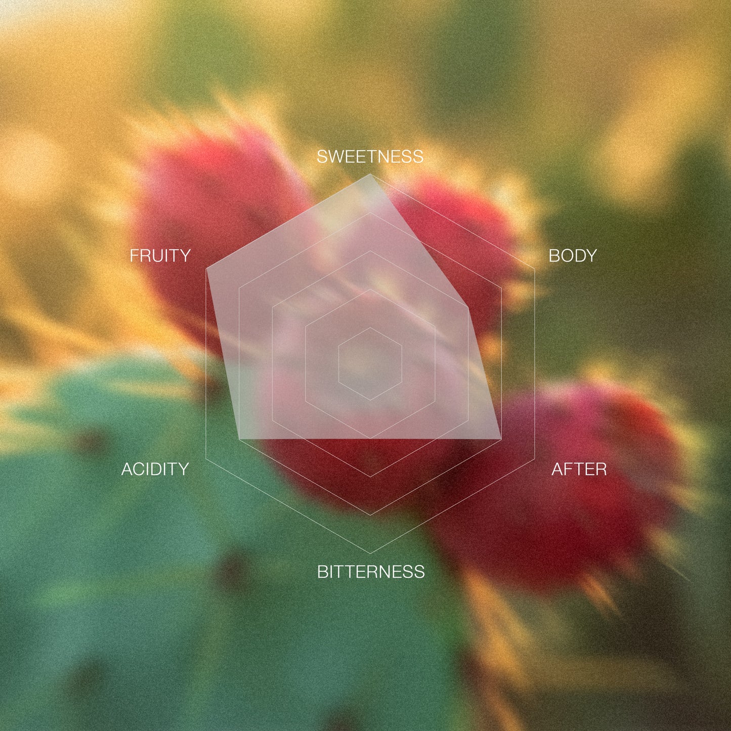 Peru Nancy Andrade Geisha Washed National Winner