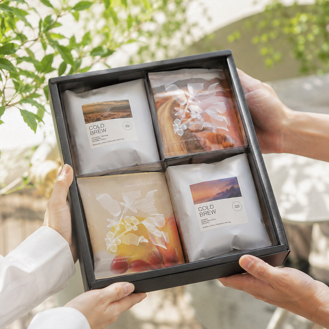Gift】Summer Coffee Set Premium (Drip Bag 10p & Cold Brew 4p