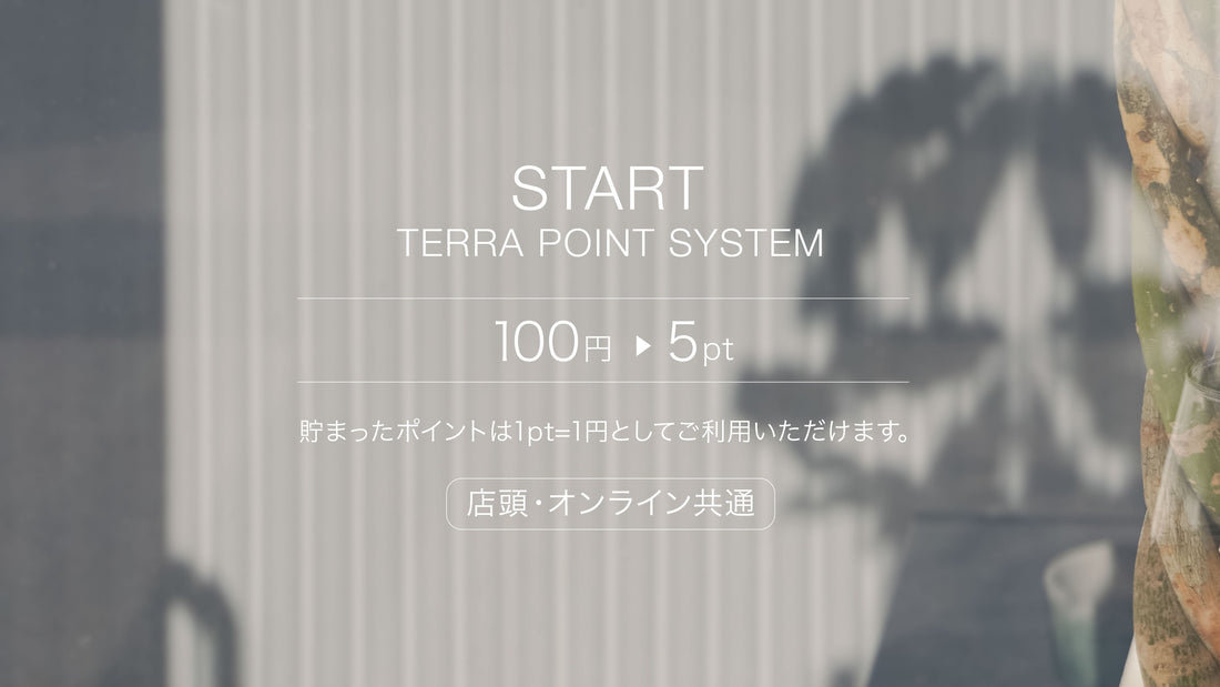 TERRA ポイントシステムをリリース