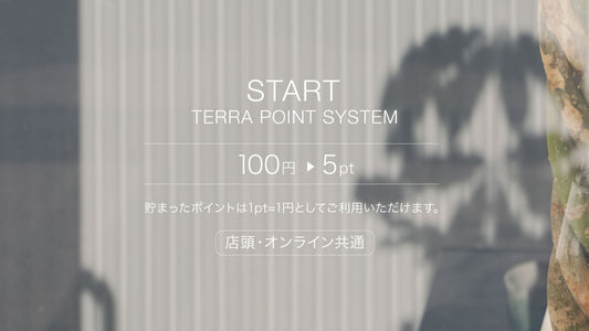 TERRA ポイントシステムをリリース