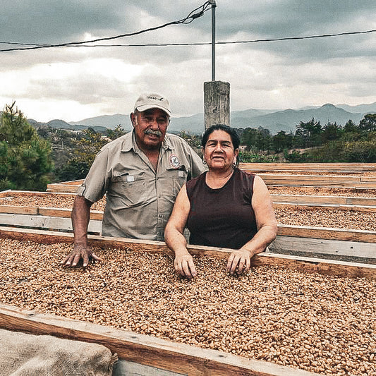 Guatemala Abel Valladares Geisha Washed