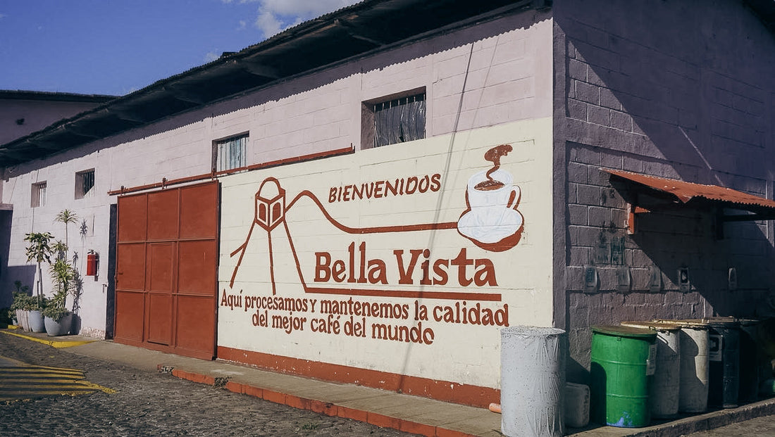 Travel Journal (Guatemala)