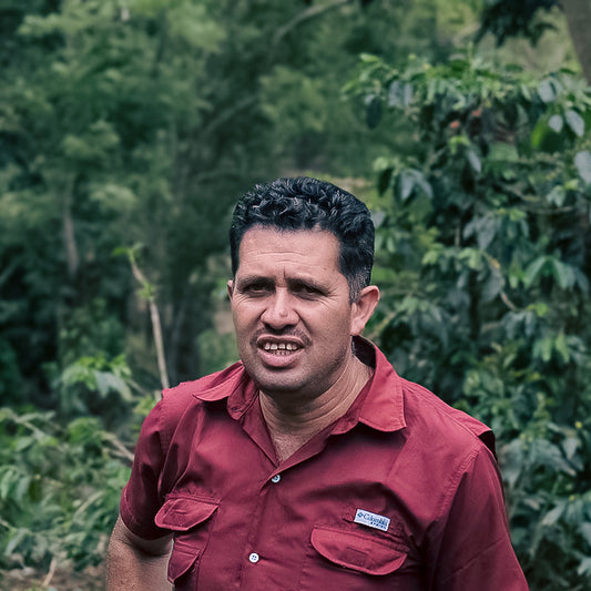 Honduras Mario Moreno Pacas Washed