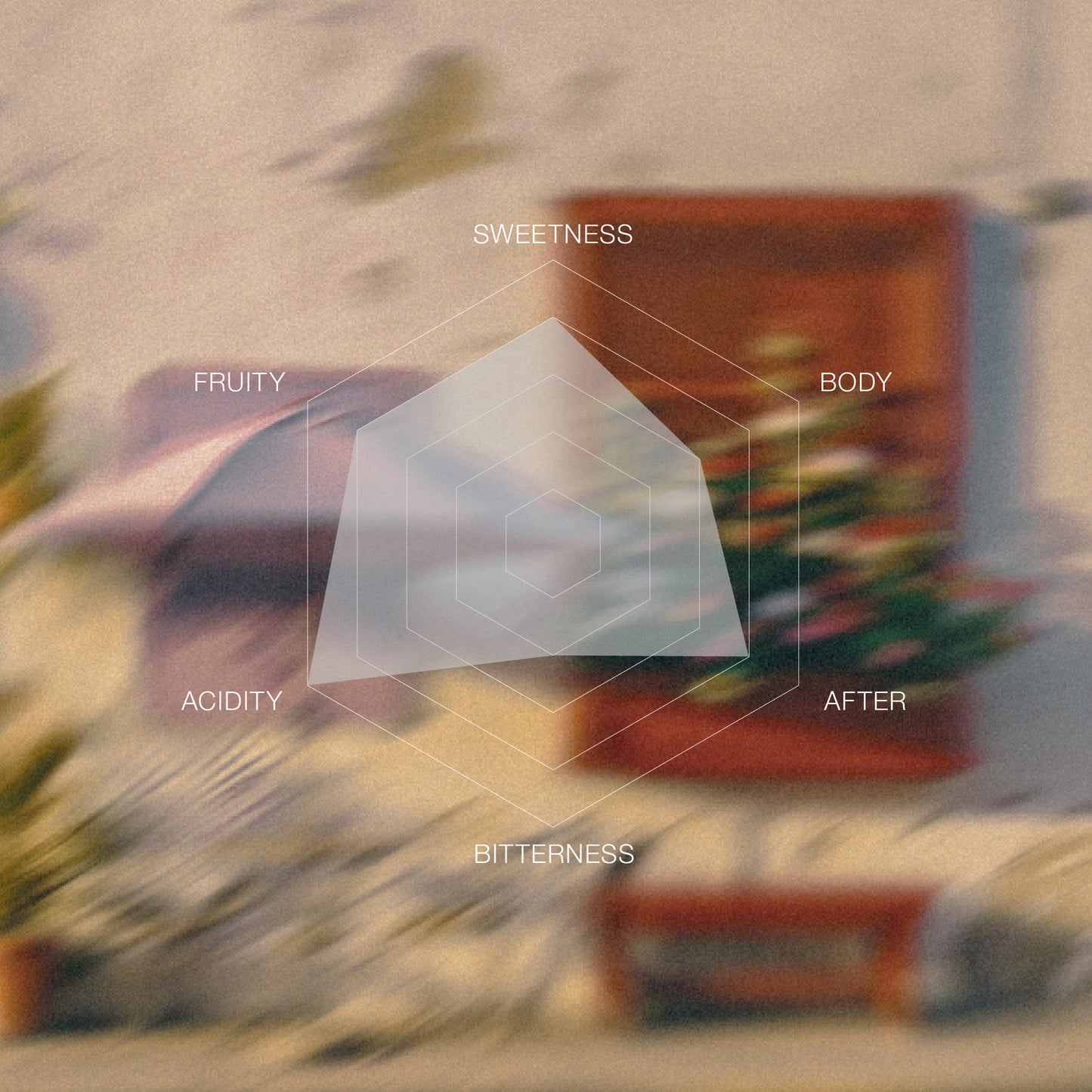 Colombia Alejandro Renjifo Geisha Washed