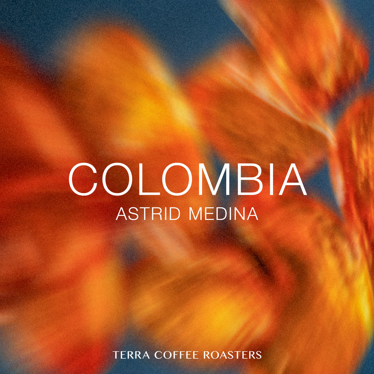 Colombia Astrid Medina Castillo Washed