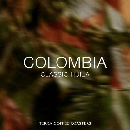 【Daily Roast】Colombia Classic Huila Castillo Washed