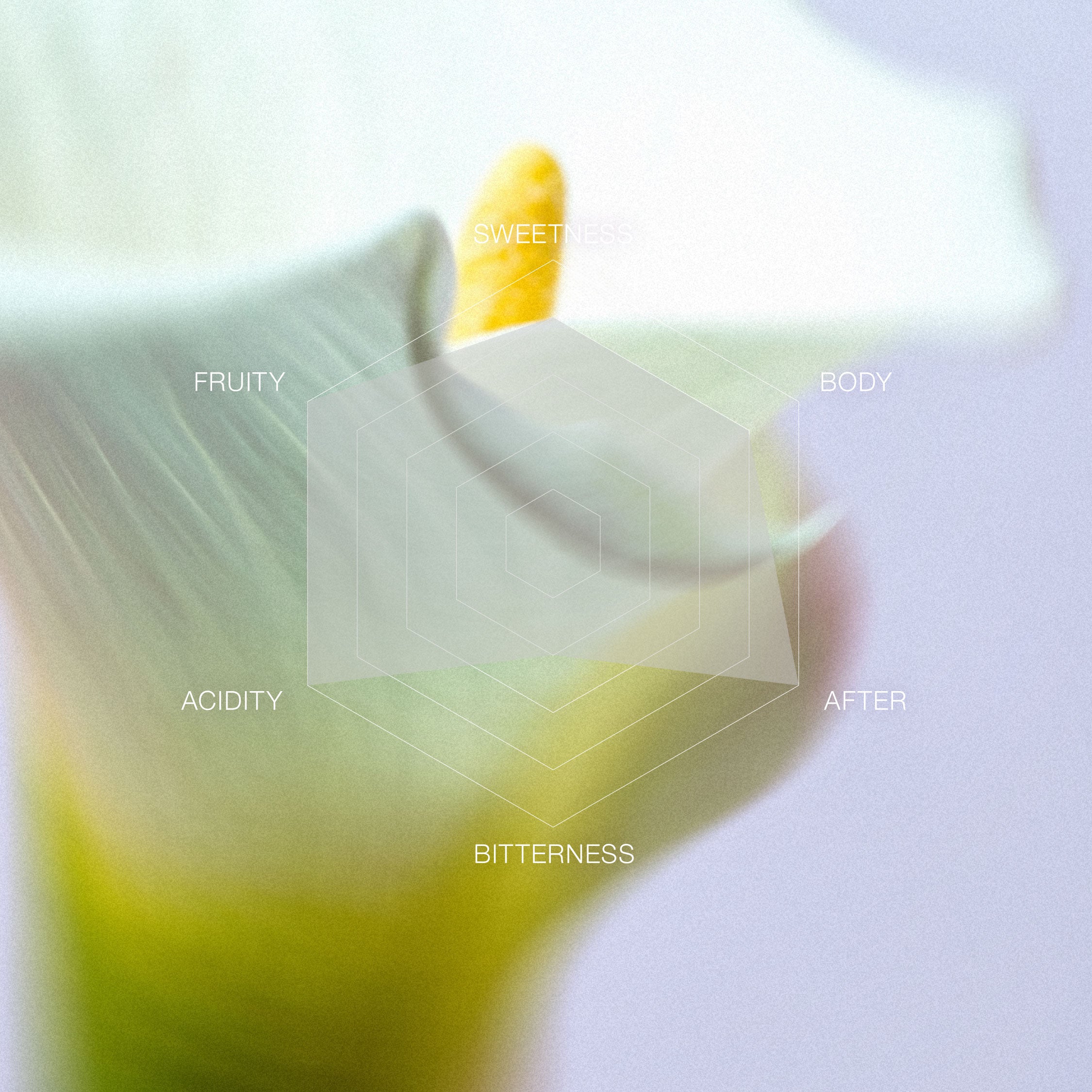 Coco's Coffee House 水彩画 1990年 Coco's Coffee House 水彩画 1990年