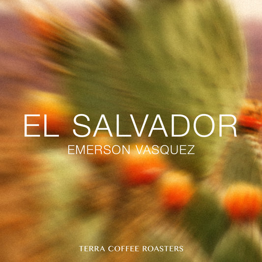 El Salvador Emerson Vasquez Pacamara Washed
