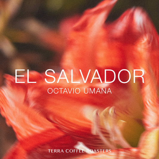 El Salvador Octavio Umana Pacamara Natural