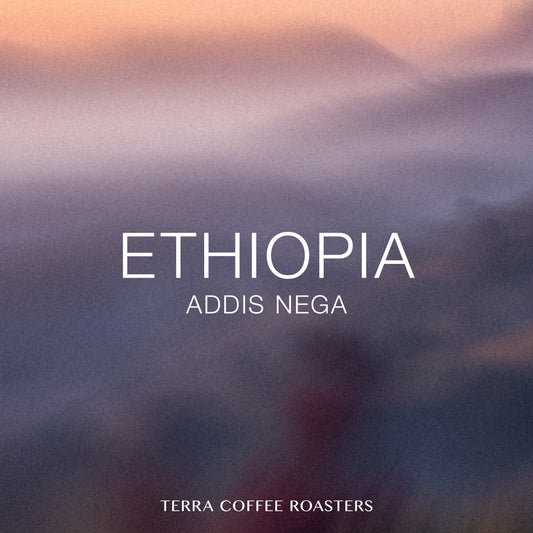 Ethiopia Addis Nega 74112 Natural
