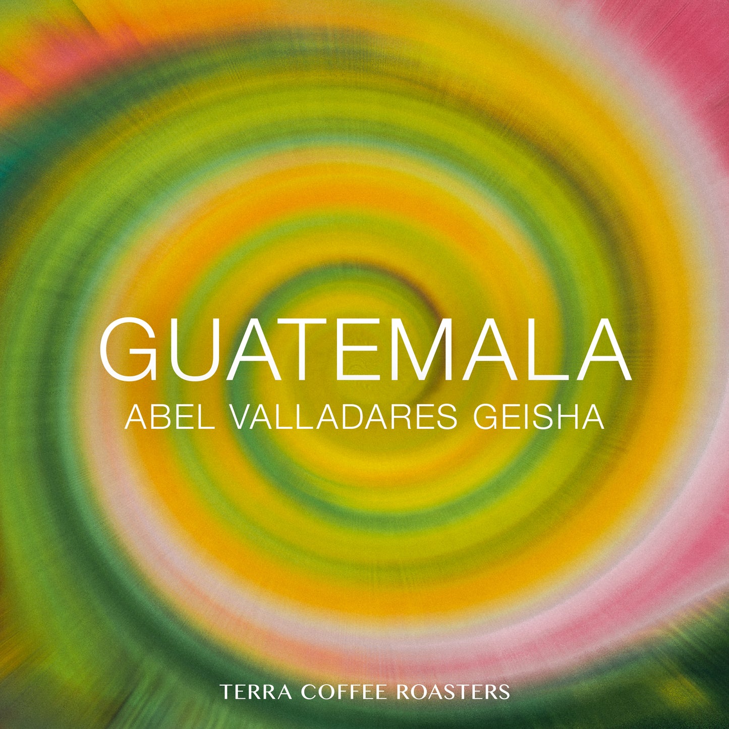 Guatemala Abel Valladares Geisha Washed