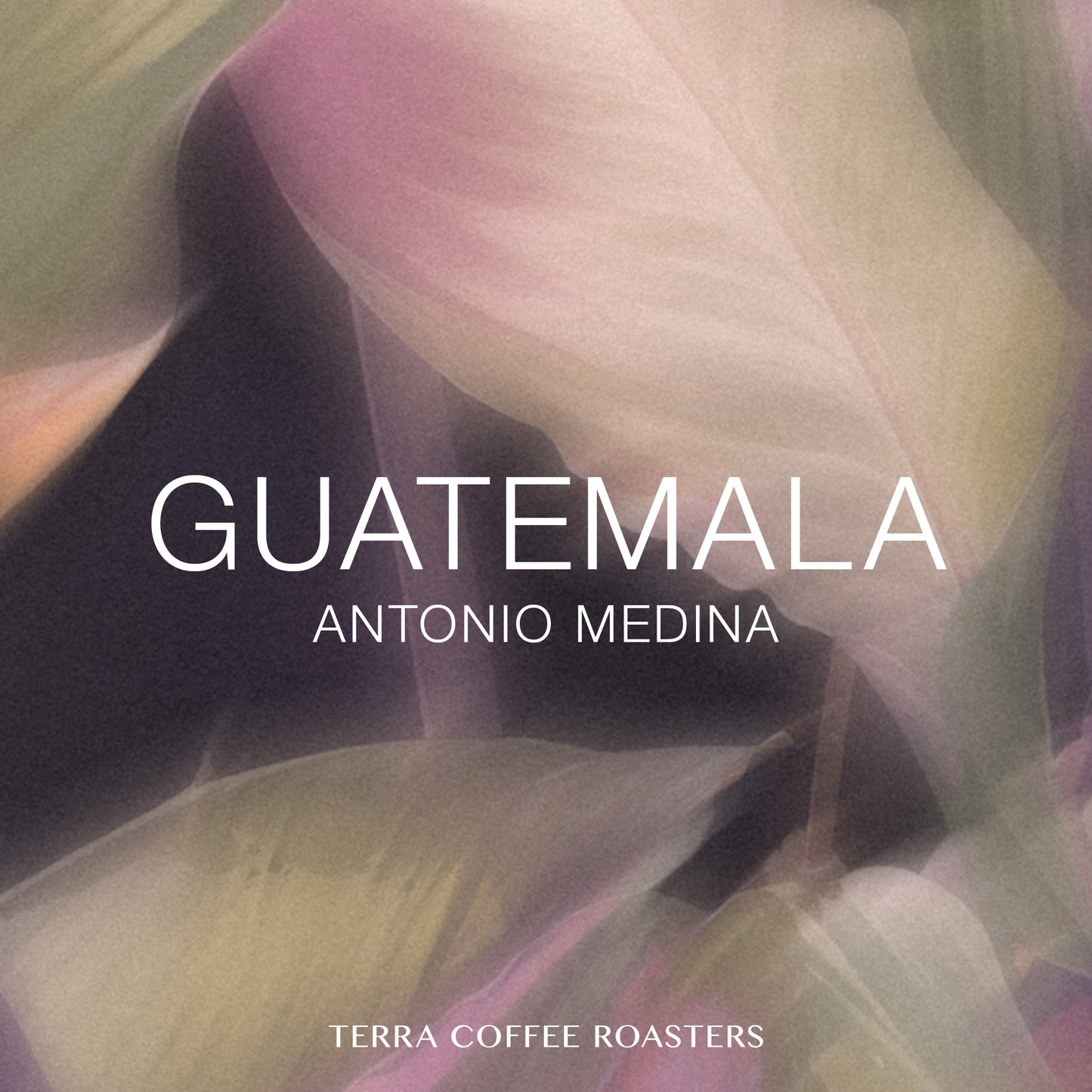 Guatemala Antonio Medina Pacamara Washed NW #2