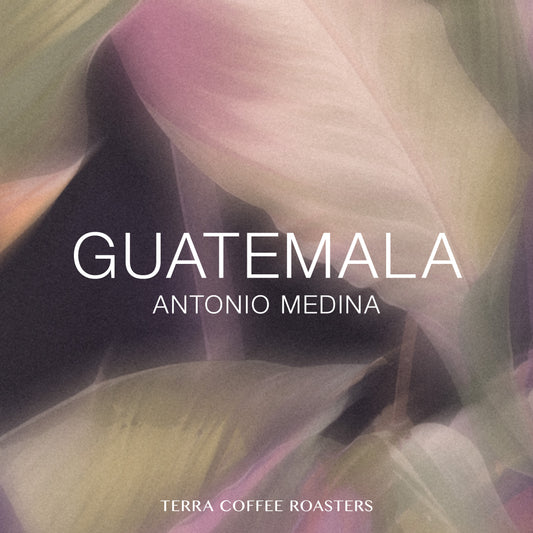 Guatemala Antonio Medina Pacamara Washed NW #2