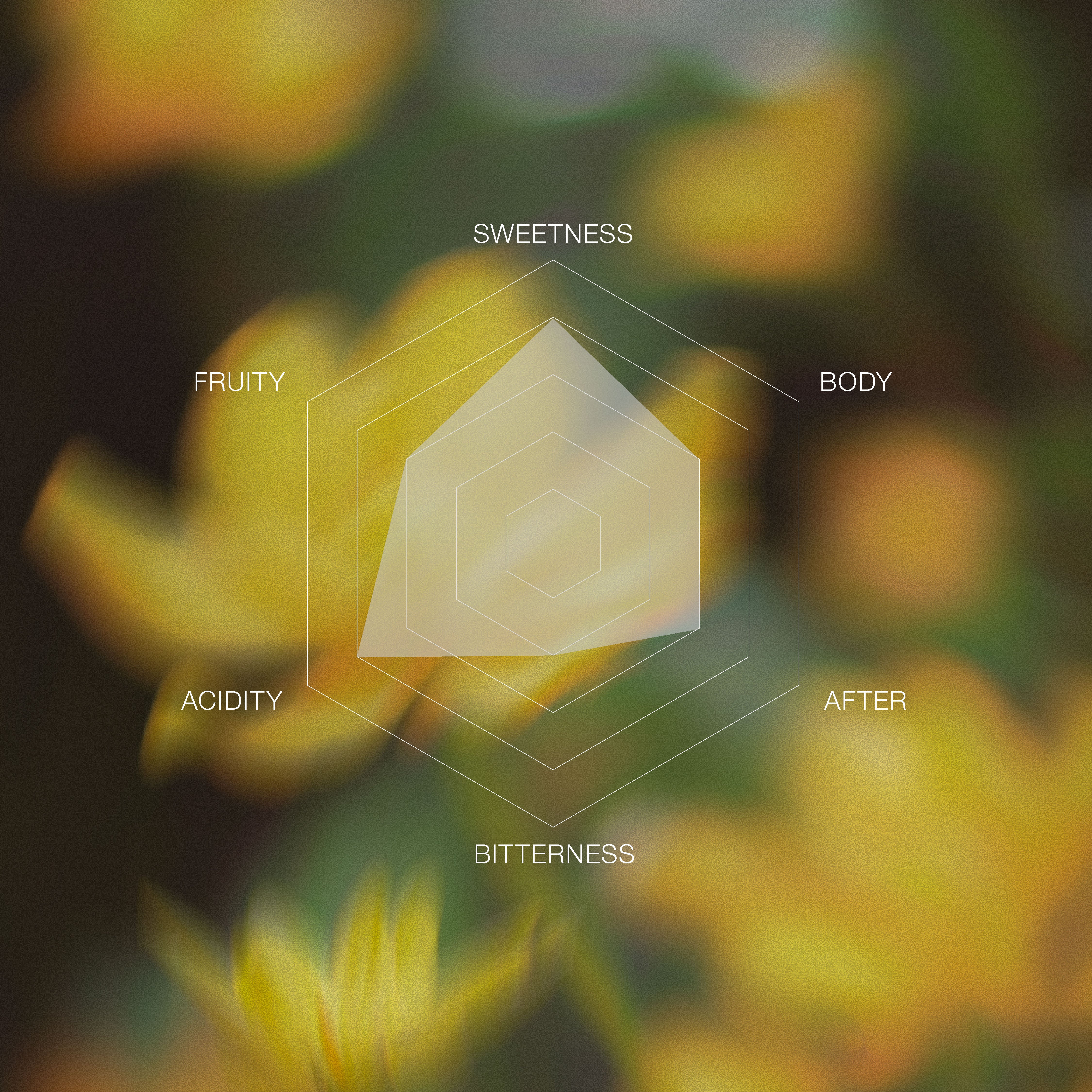 DAILY ROAST】Honduras Juan Fernandez Parainema Washed Omni – TERRA