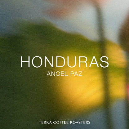 Honduras Angel Paz Yellow Catuai Washed