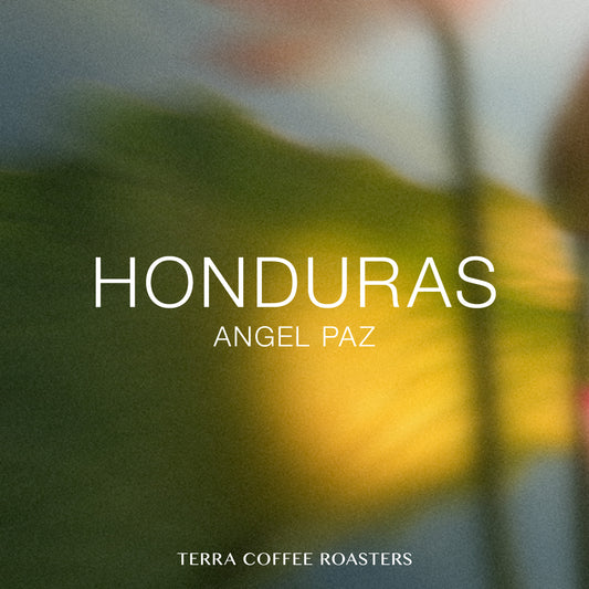 Honduras Angel Paz Yellow Catuai Washed