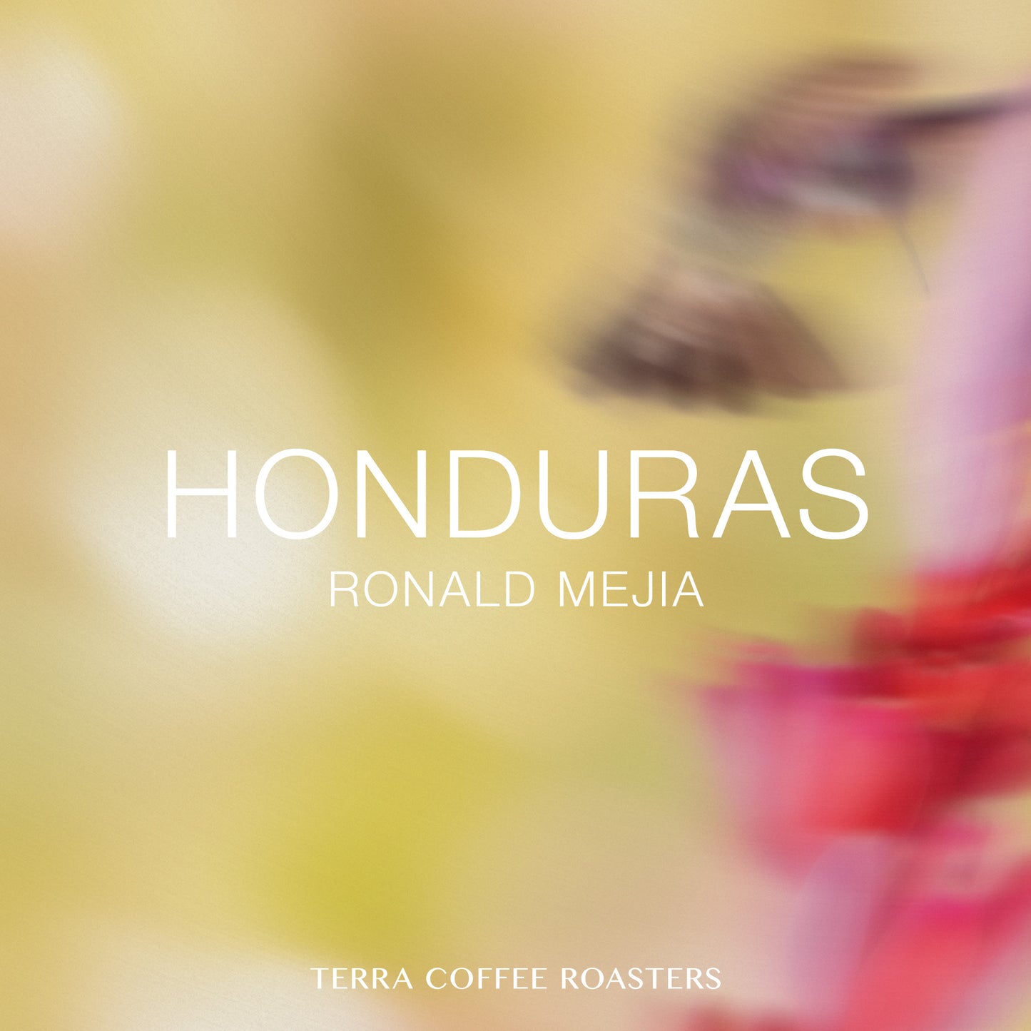 Honduras Ronald Mejia Pacas Washed